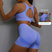 Women's 2-Piece Yoga Set – Breathable Sports Bra & Sculpting Shorts