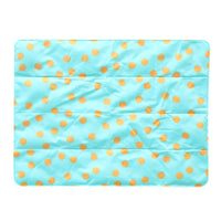 Pet gel ice pad