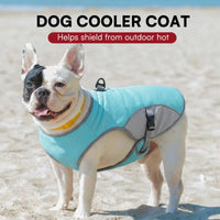 Dog Cooling Jacket For Dogs