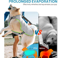 Reflective Dog Cooling Vest with Ice Packs for Hot Weather