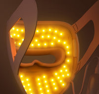 Rechargeable Color Light Led Skin Rejuvenation Beauty Mask