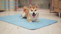 Dog Cooling Mat – Summer Cold Bed for Dogs & Cats
